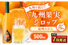 九州を飲む！九州果実 シロップ 温州みかん 500ml 1本 約25杯分 フルーツ 果物 ジュース