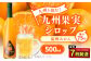 九州を飲む！九州果実シロップ 温州みかん