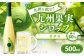九州を飲む！九州果実シロップ カボス