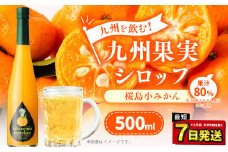九州を飲む！九州果実 シロップ 桜島小みかん 500ml 1本 約25杯分 みかん フルーツ 果物 ジュース