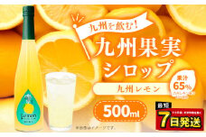 九州を飲む！九州果実 シロップ 九州レモン 500ml 1本 約25杯分 レモン フルーツ 果物 ジュース