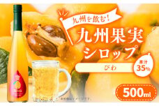 九州を飲む！九州果実 シロップ びわ 500ml 1本 約25杯分 フルーツ 果物 ジュース