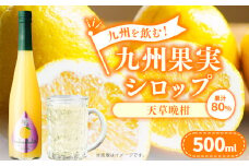 九州を飲む！九州果実 シロップ 天草晩柑 果物 フルーツ 柑橘 ジュース