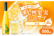 九州を飲む！九州果実 シロップ 甘夏 果物 フルーツ 柑橘 ジュース