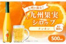 九州を飲む！九州果実 シロップ タンカン 果物 フルーツ 柑橘 ジュース