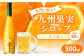 九州を飲む！九州果実シロップ タンカン