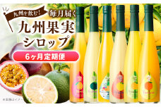 【6ヶ月定期便】 九州を飲む！毎月届く 九州果実シロップ 500ml×1本×6回 6種 果物 フルーツ ジュース