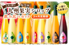 【3ヶ月定期便】 九州を飲む！毎月届く 九州果実シロップ 飲み比べセット 500ml×3本×3回 果物 フルーツ ジュース 