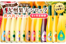 【6ヶ月定期便】 九州を飲む！毎月届く 九州果実シロップ 飲み比べセット 500ml×3本×6回 果物 フルーツ ジュース