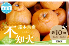 【訳アリ】 熊本県産 不知火 （デコポン同一品種） 約10kg （26玉～40玉）【2025年1月下旬-3月下旬迄発送予定】