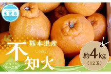  熊本県産 不知火 （デコポン同一品種） 約4kg （12玉）【2025年1月下旬-3月下旬迄発送予定】