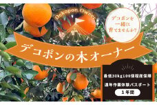 デコポンの木オーナー