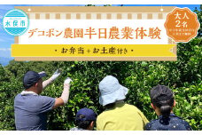 デコポン農園農業体験