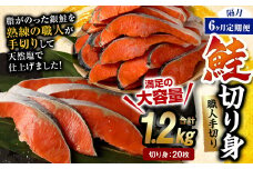 【隔月6回定期便】鮭切り身 20枚 (5枚×4P) 約1.2kg