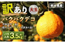 パクパクデコ 約3.5kg 訳あり 大玉 【2026年2月下旬～6月下旬発送】