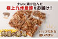 九州産豚タレ漬け