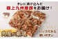 九州産豚タレ漬け