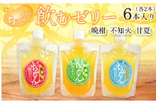 飲む ゼリー (晩柑・不知火・甘夏) 6本入り 3種 柑橘 果物 デザート スイーツ