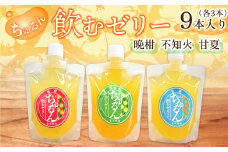 飲む ゼリー （晩柑・不知火・甘夏） 9本入り 3種 柑橘 果物 デザート スイーツ
