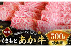 G21Q 厳選された GI認証 くまもとあか牛 特選 焼肉用 約500g あか牛 熊本和牛 あかうし 牛肉 赤牛 熊本 国産 霜降り