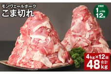 【1ヶ月毎12回定期】 モンヴェールポーク こま切れ 計48kg （4kg×12回） 豚肉 小分け 冷凍