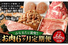 みなまたを満喫！お肉6ヶ月定期便 総量約6.6kg 豚肉 牛肉 鶏肉 こま切れ タレ漬け ステーキ ハンバーグ 腸 詰め合わせ 黒毛和牛 スライス 肉 セット おかず 冷凍 定期便 6回 焼肉 小分け