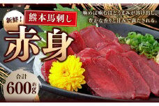 熊本 馬刺し 赤身 約600g （約50g×12） 馬刺 馬肉 馬 赤身刺し