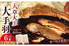熊本 天草大王 大手羽 6本 （3本×2） 鶏肉 とり肉 鶏 お肉 肉 手羽 冷凍