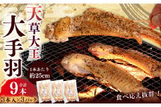 熊本 天草大王 大手羽 9本 （3本×3） 鶏肉 とり肉 鶏 お肉 肉 手羽 冷凍