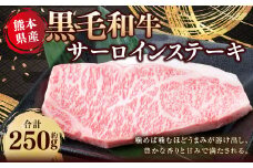 熊本県産 黒毛和牛 サーロインステーキ 約250g 国産 熊本 和牛 牛肉 牛 肉 サーロイン お肉 冷凍