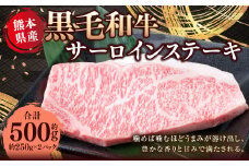 熊本県産 黒毛和牛 サーロインステーキ 約500g （約250g×2） 国産 熊本 和牛 牛肉 牛 肉 サーロイン お肉 冷凍