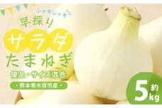 1年に1度だけの感動の甘さ！早採りサラダ玉ねぎ 5kg （優品・サイズ混合）＜栽培期間中無農薬・無化学肥料栽培 ／ 熊本県水俣市産 ／ 耕人舎＞ 玉ねぎ タマネギ 野菜 サラダ 【2025年3月下旬-5月上旬迄発送予定】
