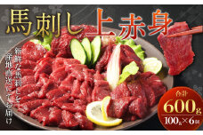 【フジチク ふじ馬刺し】馬刺し上赤身 600g 馬刺し 赤身 馬肉 熊本県