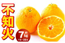 不知火 約7kg（15～28玉） しらぬい 果物 くだもの フルーツ 柑橘 【2025年2月上旬-4月上旬発送予定】