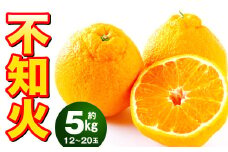 不知火 約5kg（12～20玉） しらぬい 果物 くだもの フルーツ 柑橘 【2025年2月上旬-4月上旬発送予定】