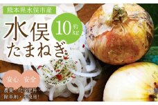 水俣 サラダ玉ねぎ 10kg 野菜 タマネギ サラダ 天ぷら 【2025年4月下旬～5月下旬発送】