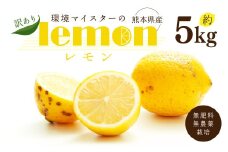 環境マイスターのレモン 訳あり 5kg（栽培期間中は無肥料・無農薬）【2024年12月上旬‐2025年4月下旬迄順次発送予定】