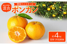 環境マイスターのポンカン 良品・訳あり混合 4kg（栽培期間中は無肥料・無農薬）果物 くだもの フルーツ ぽんかん 柑橘 みかん【2025年1月下旬‐3月上旬迄順次発送予定】