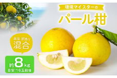 環境マイスターのパール柑 良品・訳あり混合 8kg （栽培期間中は無肥料・無農薬） 果物 くだもの フルーツ パール柑 柑橘 【2025年2月上旬‐4月上旬迄順次発送予定】