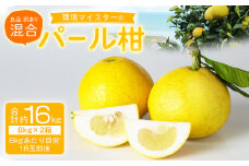 環境マイスターのパール柑 良品・訳あり混合 16kg （栽培期間中は無肥料・無農薬） 果物 くだもの フルーツ パール柑 柑橘 【2025年2月上旬‐4月上旬迄順次発送予定】