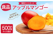 環境マイスターの【良品】 アップルマンゴー 500g 果物 くだもの フルーツ マンゴー 【2025年6月下旬‐7月下旬迄順次発送予定】