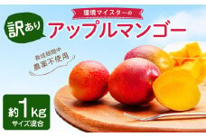 環境マイスターの【ワケあり】 アップルマンゴー 1kg 果物 くだもの フルーツ マンゴー 【2025年6月下旬‐7月下旬迄順次発送予定】
