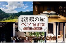 湯の鶴迎賓館 鶴の屋 ペア宿泊券 一泊二食 宿泊券 2名様 宿泊 温泉 チケット 熊本県 水俣市