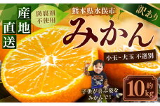 訳あり みかん 約10kg 蜜柑 ミカン 果物 くだもの フルーツ 【2025年10月上旬から2026年2月下旬順次発送予定】