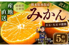 訳あり みかん 約5kg 蜜柑 ミカン 果物 くだもの フルーツ 【2025年10月上旬から2026年2月下旬順次発送予定】