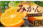訳ありみかん 約5kg