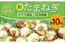 熊本県産 新たまねぎ サイズ混合 約10kg 30玉前後 野菜 タマネギ 玉ねぎ サラダ 【2025年3月上旬‐4月上旬迄発送予定】