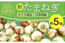熊本県産 新たまねぎ サイズ混合 約5kg 15玉前後 野菜 タマネギ 玉ねぎ サラダ 【2025年3月上旬‐4月上旬迄発送予定】