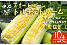 熊本県産スイートコーン ドルチェドリーム 約4.5kg 1本450g以上×10本 野菜 スイートコーン とうもろこし 【2025年6月上旬‐6月下旬迄発送予定】