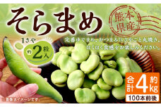 熊本県産 そらまめ 約4kg（2粒） 野菜 豆類 そら豆 【2025年4月上旬-4月下旬迄発送予定】